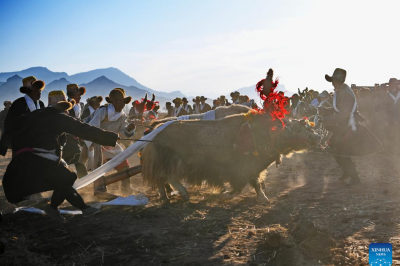 Ceremonies marking start of spring farming held in Xizang