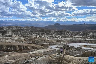 Scenery of earth forest in Zanda County, SW China's Xizang